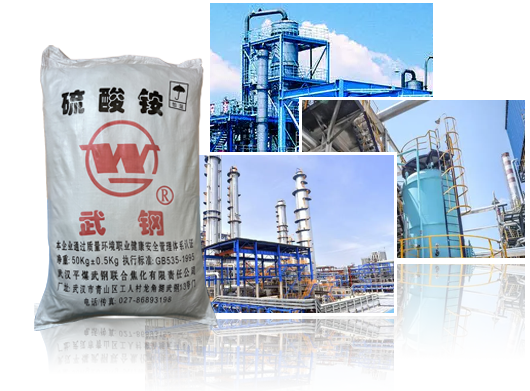 實(shí)力雄厚 品質(zhì)保障